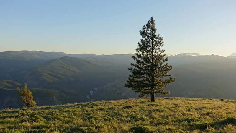 Illustration for article titled To Ellensburg then onto Packwood, the hardway